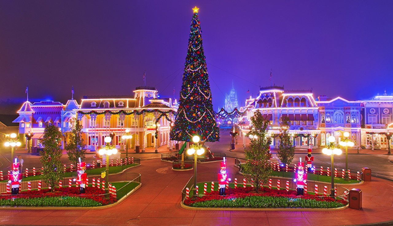 dao-quanh-cong-vien-disney-mua-giang-sinh-qua-bo-anh-ruc-ro