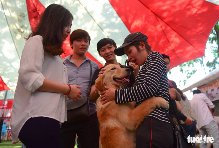Xem cún cưng tranh tài trong Dog show 2017 tại Sài Gòn
