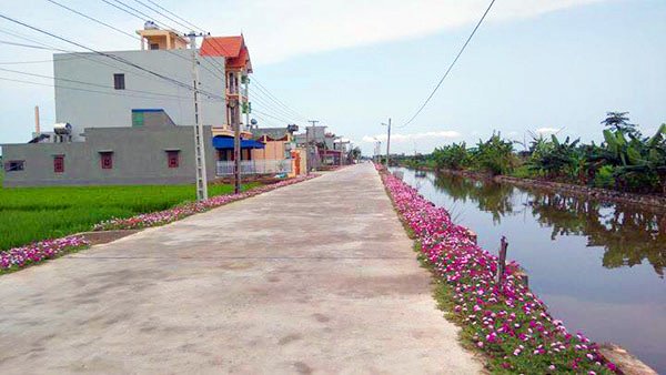 Người dân tăng thu nhập, đời sống được cải thiện nhờ NTM