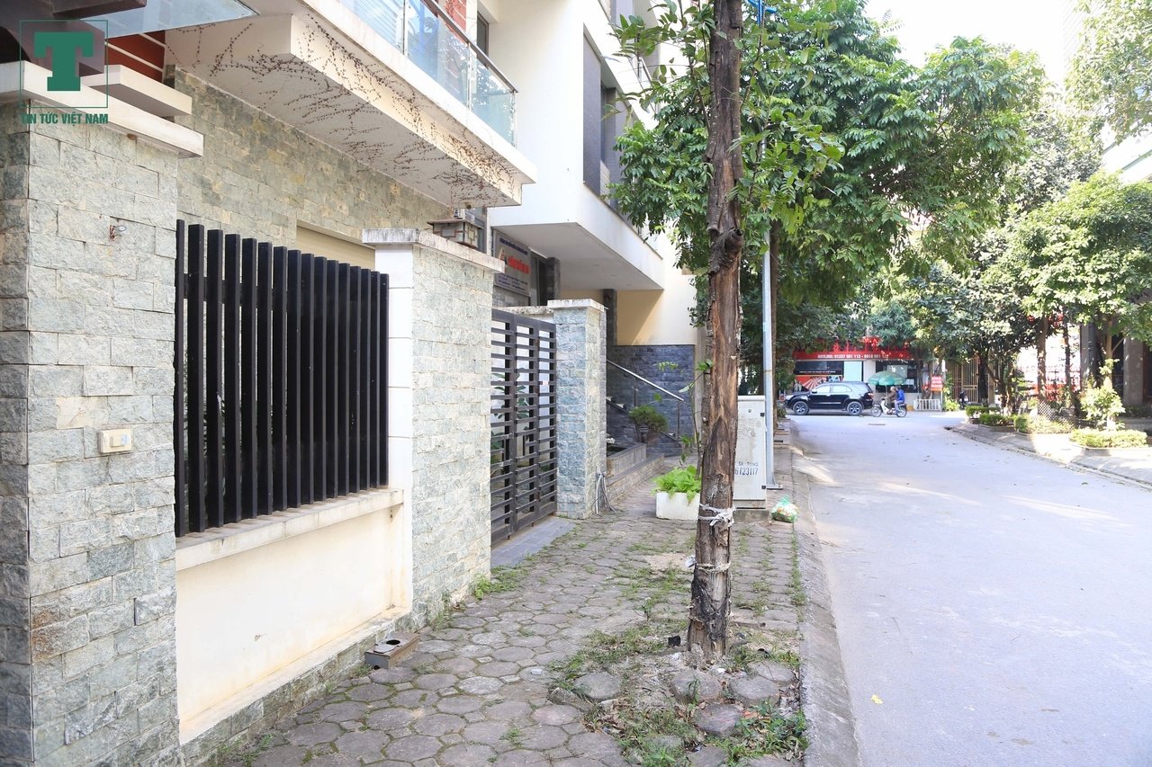 nha-quynh-anh