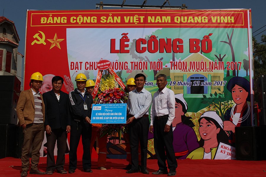 Điện lực Bắc Giang tặng tuyến đèn chiếu sáng cho thôn Muối, tỉnh Bắc Giang
