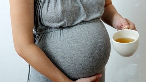 Lá vối có tác dụng gì và ai cần kiêng lá vối: nước vối tốt cho bà bầu