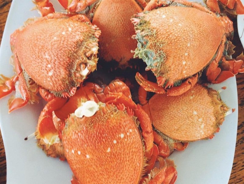 dong-nay-can-nap-vitamin-sea-thi-xach-ba-lo-toi-ngay-eo-gio