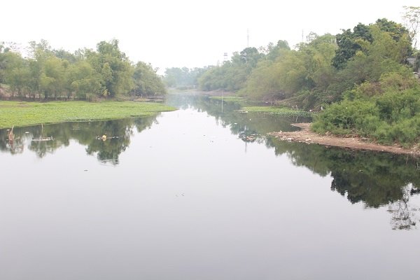 ha-noi-dan-keu-troi-vi-nguon-nuoc-tuoi-tieu-bi-o-nhiem