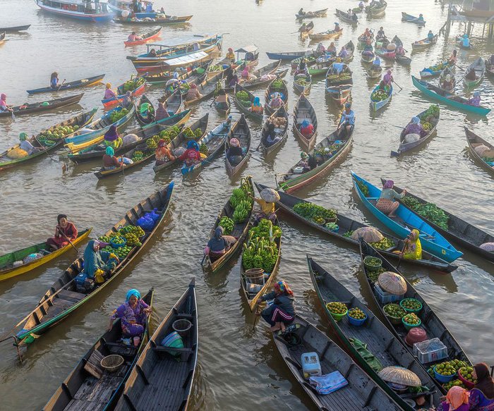 Đàn cừu Ninh Thuận vào top ảnh đẹp của tạp chí NatGeo