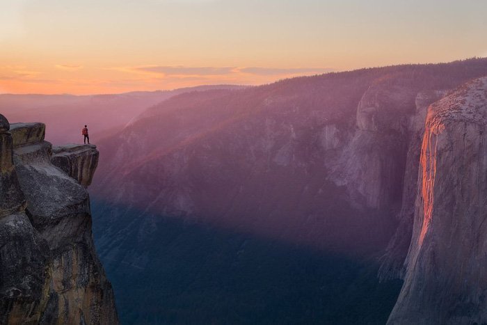 Đàn cừu Ninh Thuận vào top ảnh đẹp của tạp chí NatGeo