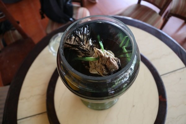 doc-dao-hai-binh-ruou-ngam-ga-dong-tao-cua-lao-nong-hung-yen