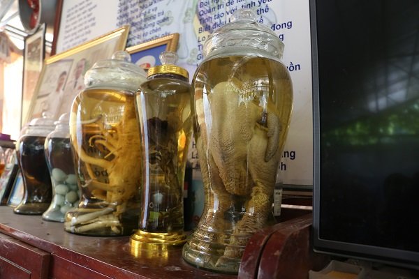 doc-dao-hai-binh-ruou-ngam-ga-dong-tao-cua-lao-nong-hung-yen