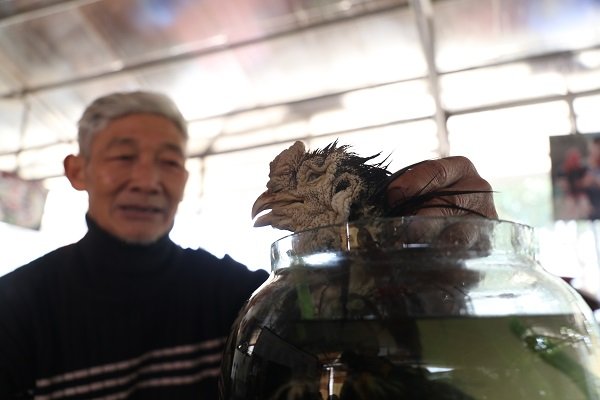 doc-dao-hai-binh-ruou-ngam-ga-dong-tao-cua-lao-nong-hung-yen