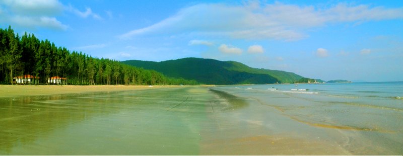 Màu xanh trên đảo Ngọc Vừng