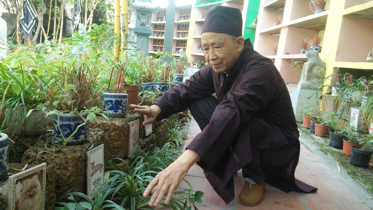 nghia-trang-cho-meo-hinh-thanh-tu-tinh-yeu-dong-vat