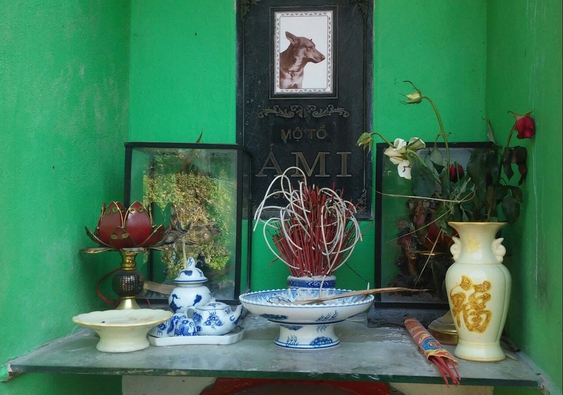 nghia-trang-cho-meo-hinh-thanh-tu-tinh-yeu-dong-vat