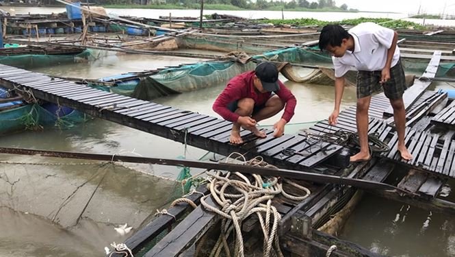 Cần Thơ chỉ đạo không để tăng giá hàng hóa sau bão