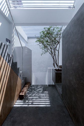 Nằm sâu trong ngõ nhỏ của Thủ đô, ngôi nhà ống vẫn ngập tràn ánh sáng