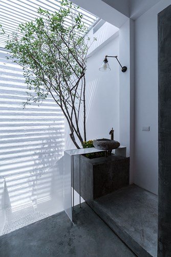 Nằm sâu trong ngõ nhỏ của Thủ đô, ngôi nhà ống vẫn ngập tràn ánh sáng