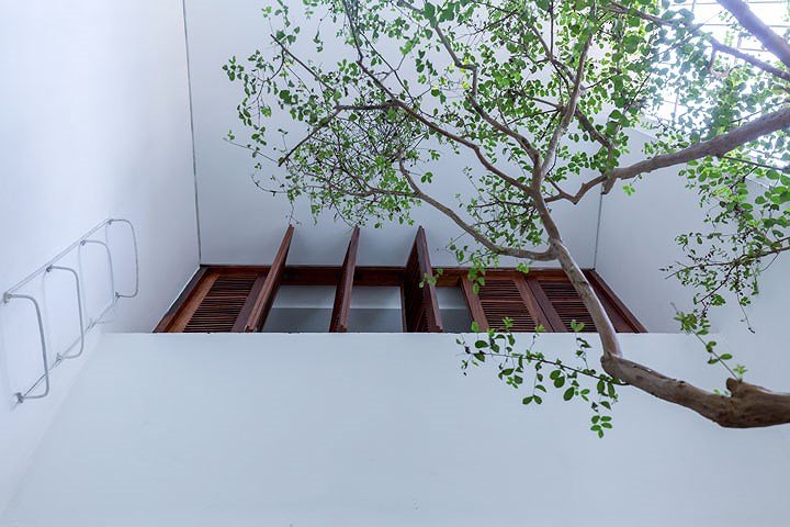 Nằm sâu trong ngõ nhỏ của Thủ đô, ngôi nhà ống vẫn ngập tràn ánh sáng