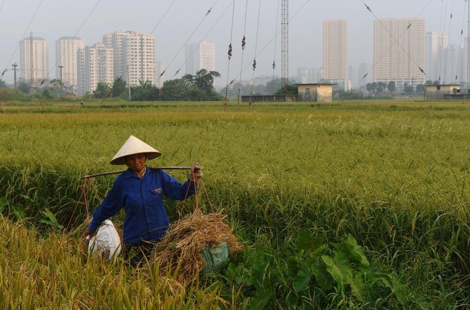 forbes-kinh-te-viet-nam-se-phat-trien-cuc-tot-trong-nam-2018