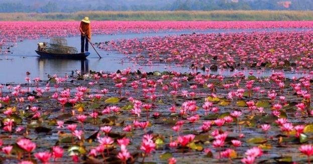 Có một Thái Lan góc nào cũng trở thành nơi sống ảo rực sắc màu trong năm mới
