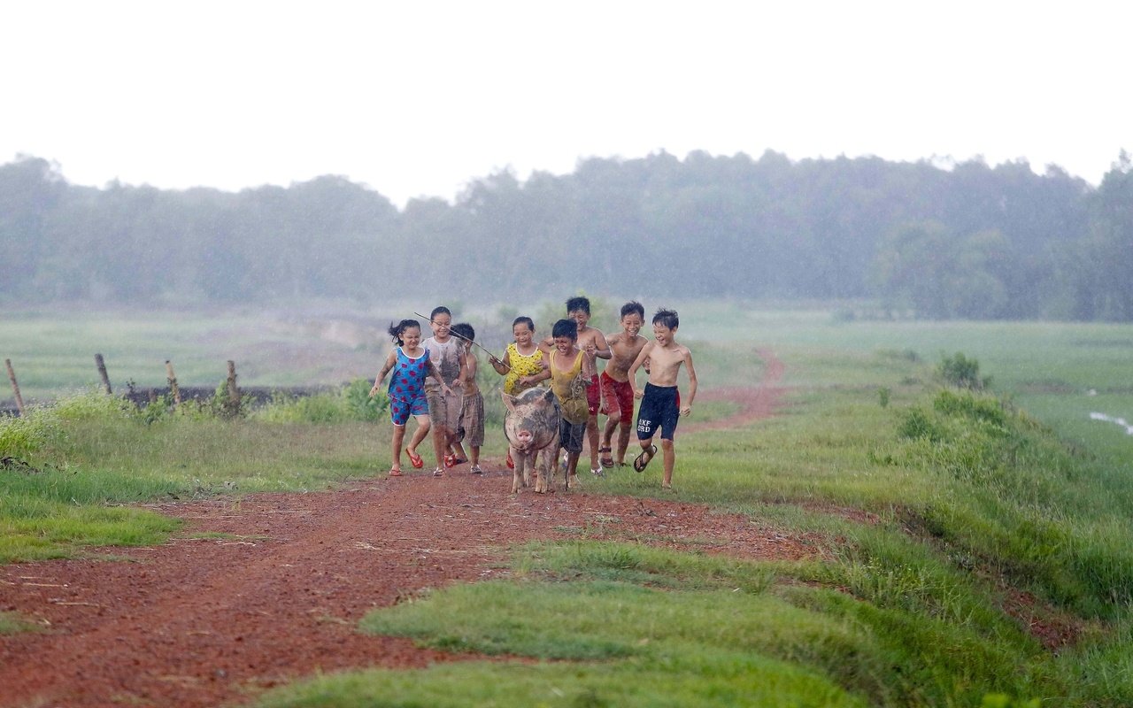 khi-con-la-nha-bo-phim-duoc-khen-ngoi-nhieu-nhat-cua-vu-ngoc-dang