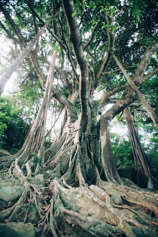 mot-so-dia-diem-vui-choi-dip-tet-duong-lich-2018