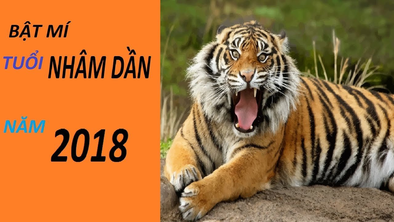 tu-vi-2018-tuoi-dan
