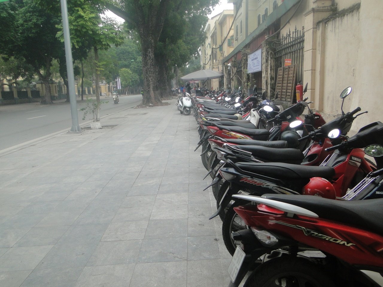 tan-huong-khong-gian-yen-tinh-hiem-hoi-giua-thu-do-ngay-dau-nam-moi