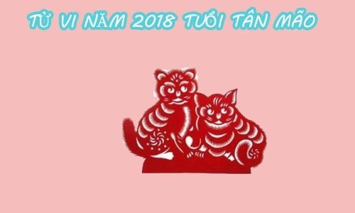 tu-vi-tuoi-mao-nam-mau-tuat