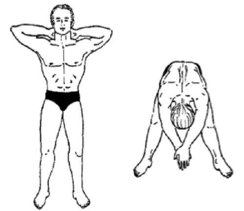 cac-bai-tap-hang-ngay-giup-tang-chieu-cao-don-gian-tai-nha