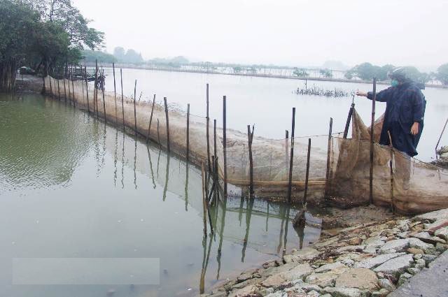 nuoi-trong-thuy-san-ung-pho-bien-doi-khi-hau