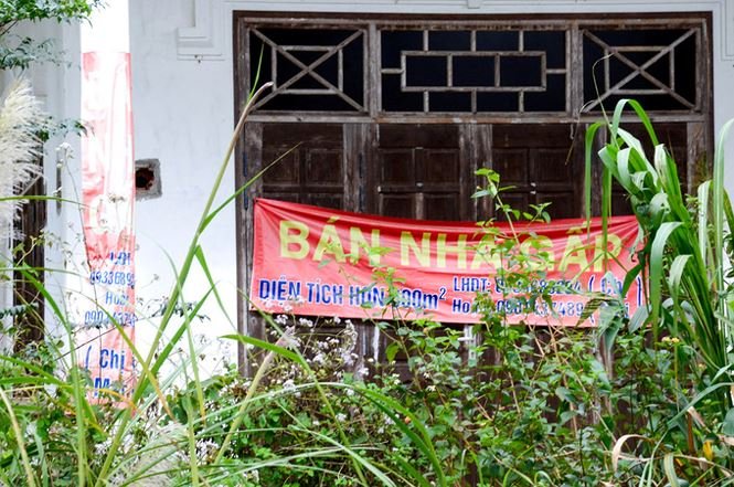 Gần trăm biệt thự bỏ hoang trong khu du lịch sinh thái