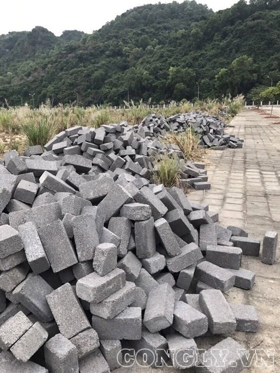 Doanh nghiệp gian nan thực hiện dự án