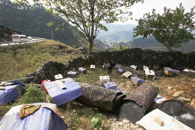 Mùa thu hoạch mật ong trên cao nguyên đá Hà Giang