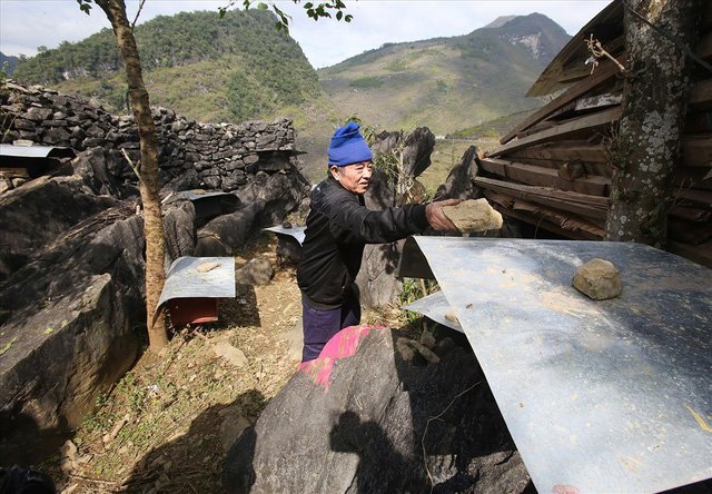 Mùa thu hoạch mật ong trên cao nguyên đá Hà Giang