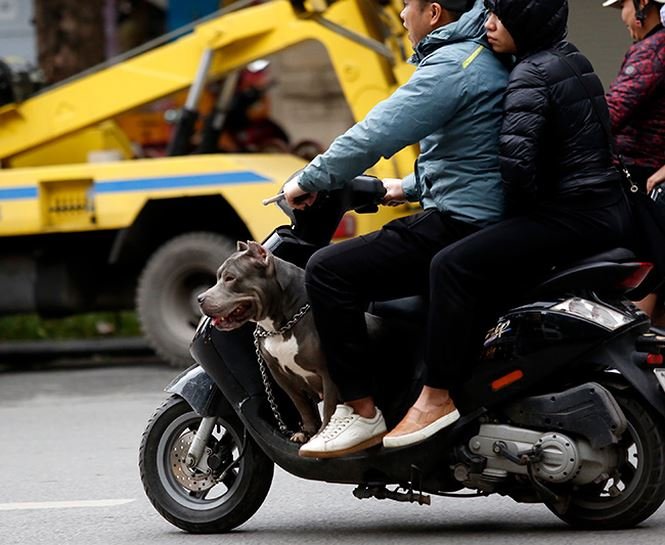 Muôn kiểu chống đợt rét tăng cường của người dân thủ đô