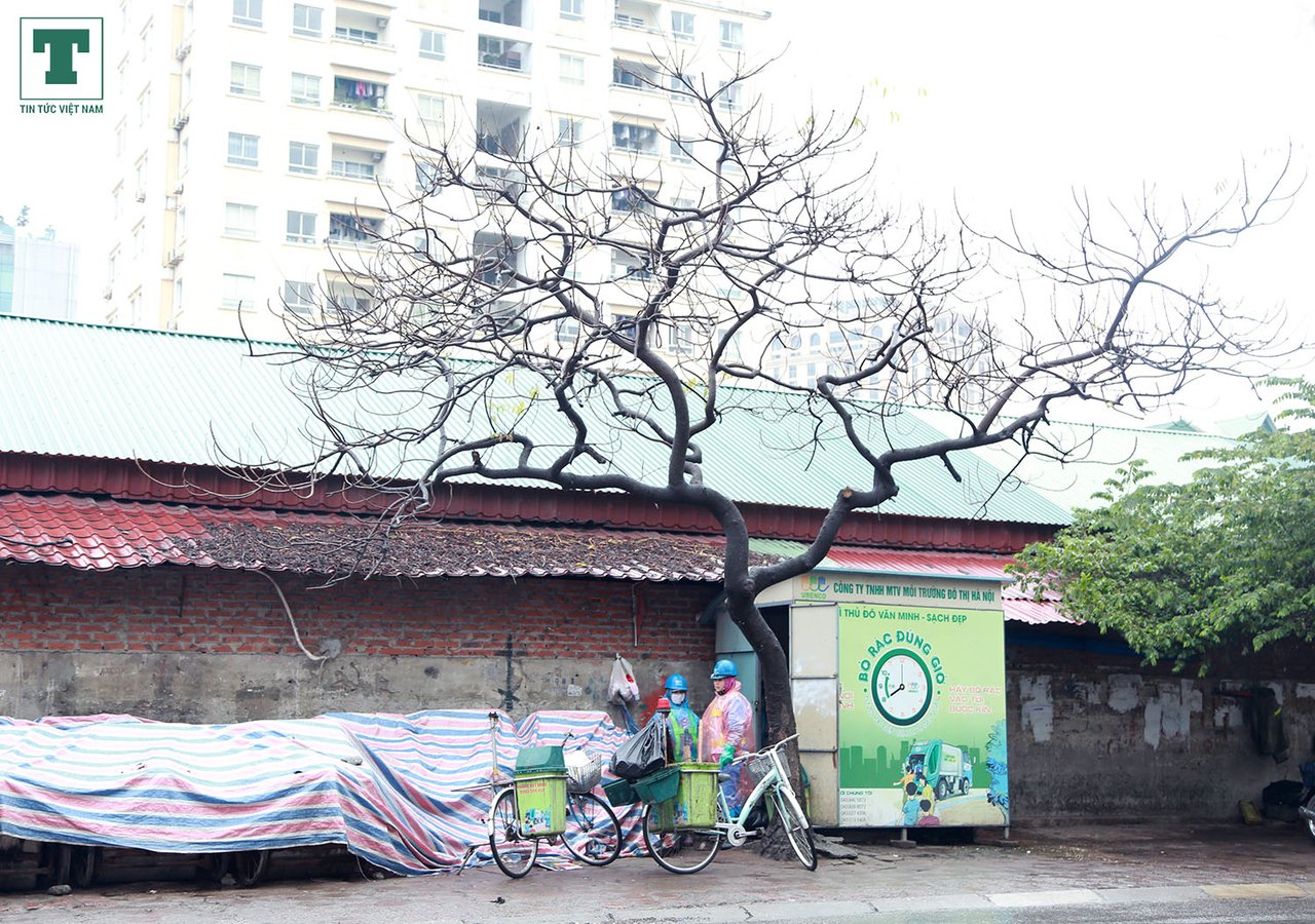 ha-noi-ngay-mua