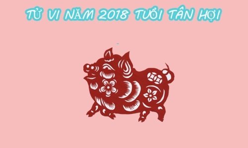 xem-tu-vi-tuoi-hoi-nam-mau-tuat