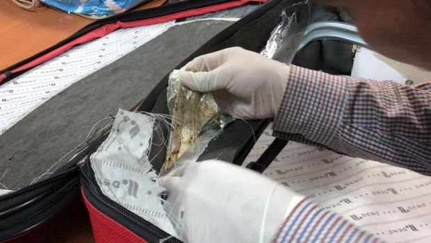 nguoi-australia-goc-viet-bi-bat-khi-dang-van-chuyen-18-kg-heroin