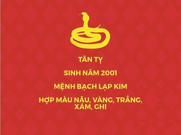 chon-tuoi-xong-nha-cho-nguoi-tuoi-tan-ty-nam-mau-tuat-2018