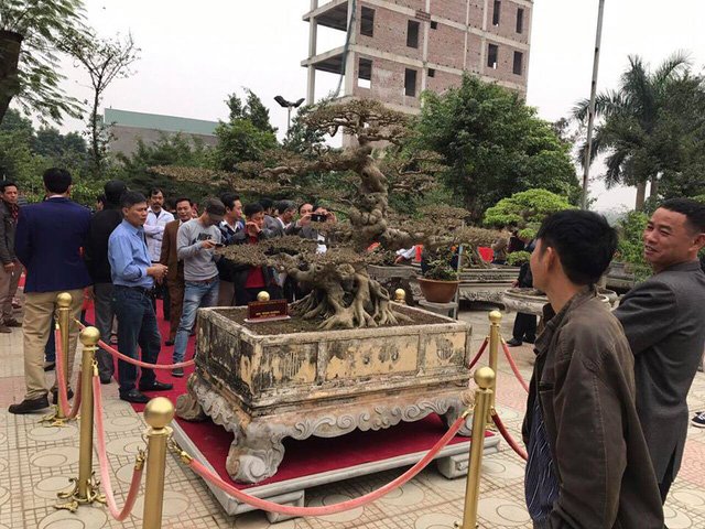 Xôn xao thương vụ mua bán 