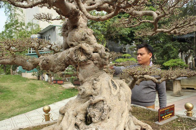 Xôn xao thương vụ mua bán 