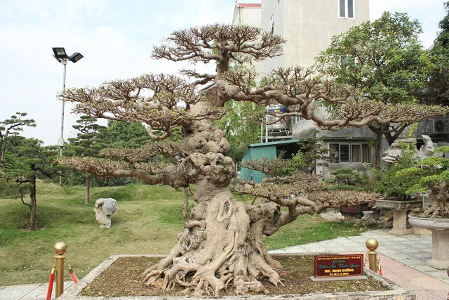 Xôn xao thương vụ mua bán 
