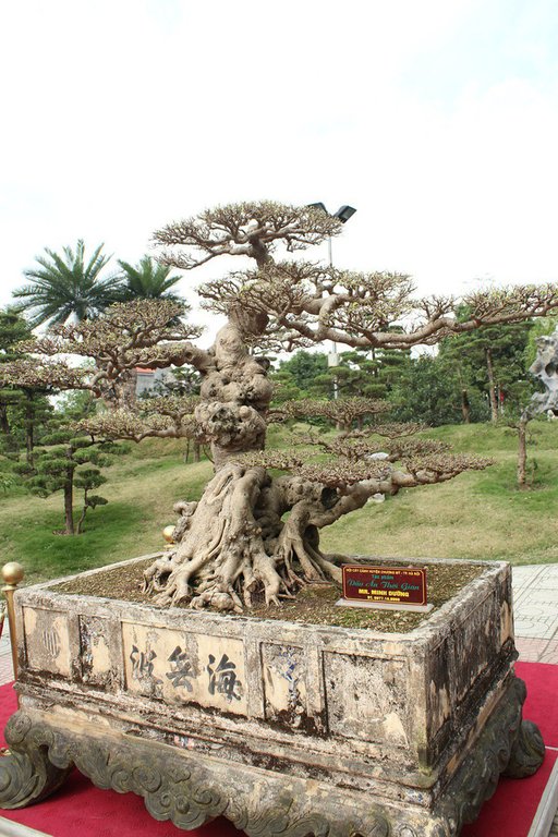 Xôn xao thương vụ mua bán 