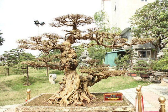 Xôn xao thương vụ mua bán 