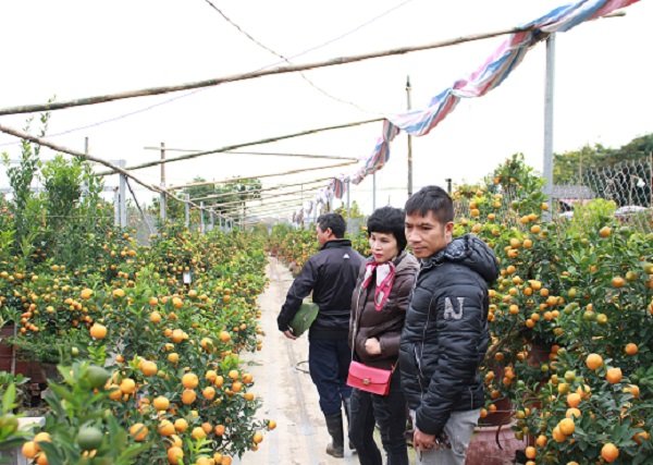 nhon-nhip-thi-truong-quat-canh-nhat-tan-truoc-tet