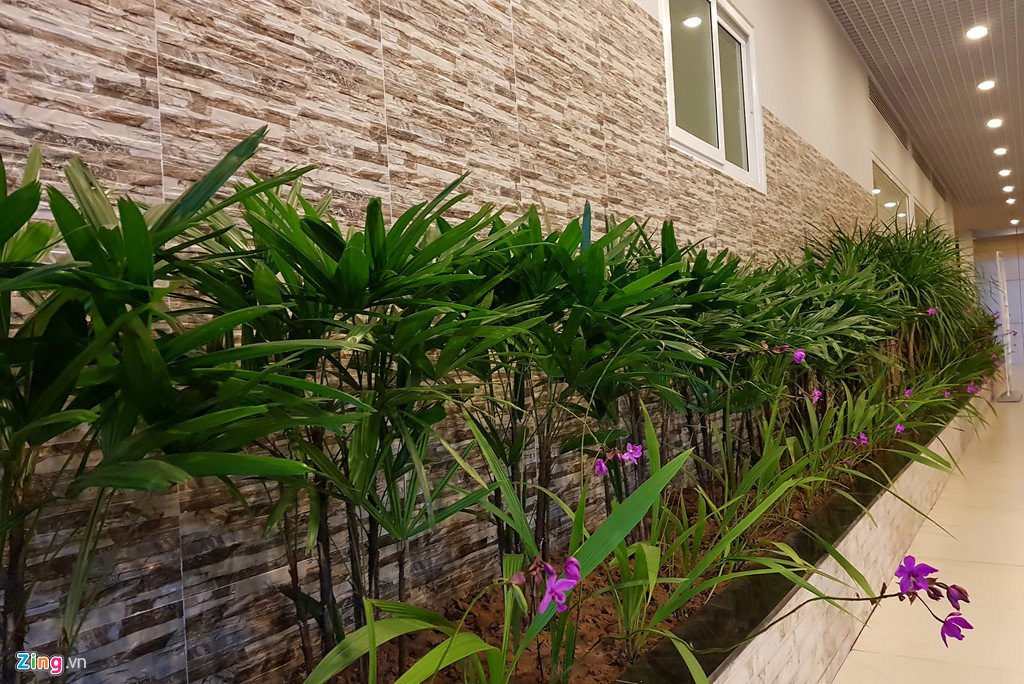 Trạm dừng nghỉ '5 sao' trên cao tốc hiện đại nhất Việt Nam