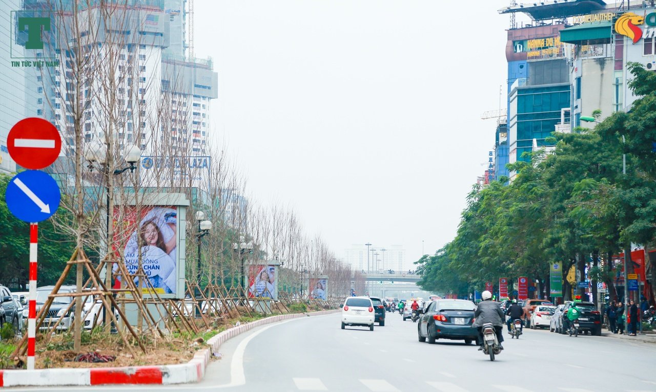 phong-la-do