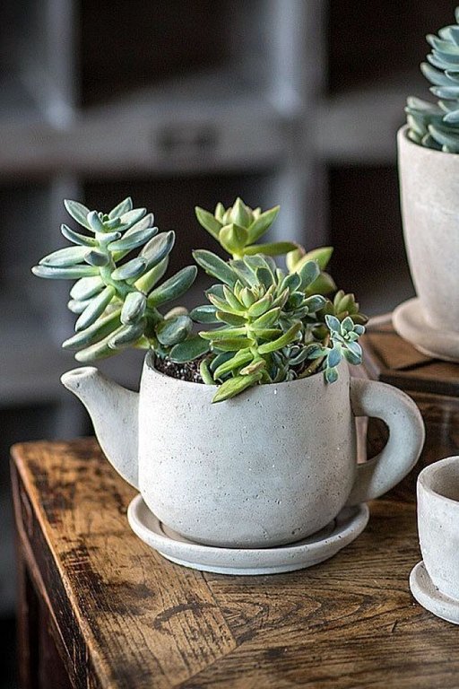 Gợi ý trồng cây, trồng hoa siêu ngọt ngào trong bộ ấm chén, bạn đã sẵn sàng để đón mùa xuân?