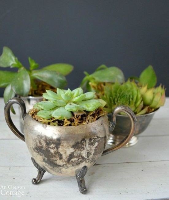 Gợi ý trồng cây, trồng hoa siêu ngọt ngào trong bộ ấm chén, bạn đã sẵn sàng để đón mùa xuân?