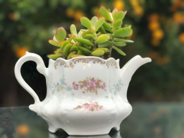 Gợi ý trồng cây, trồng hoa siêu ngọt ngào trong bộ ấm chén, bạn đã sẵn sàng để đón mùa xuân?