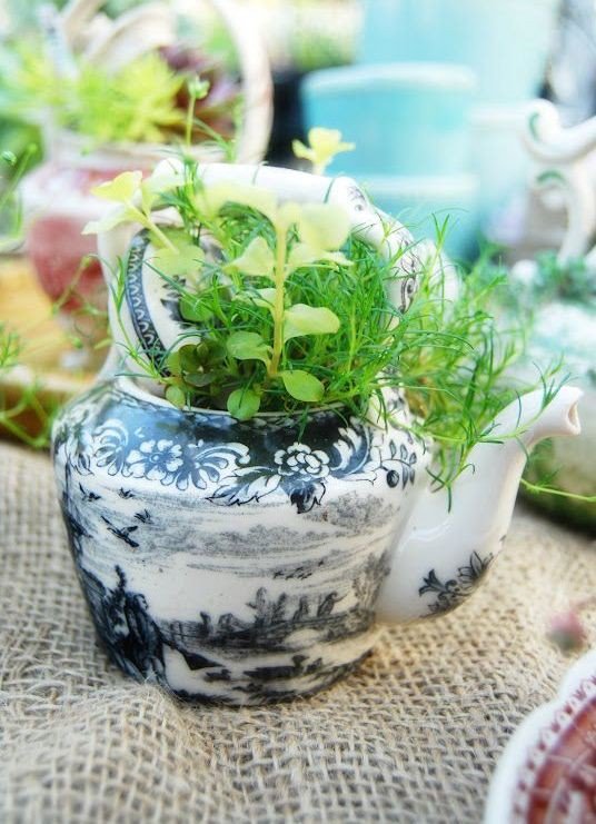 Gợi ý trồng cây, trồng hoa siêu ngọt ngào trong bộ ấm chén, bạn đã sẵn sàng để đón mùa xuân?
